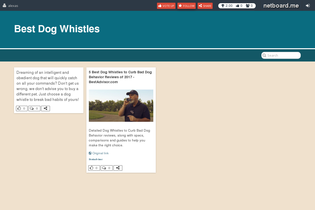 Interactive Learning Pages | netboard.me