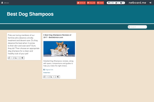 Interactive Learning Pages | netboard.me