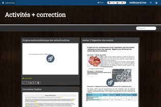 Interactive Learning Pages | netboard.me