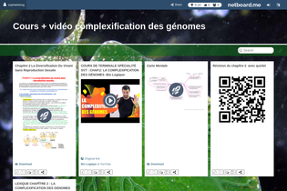 Interactive Learning Pages | netboard.me