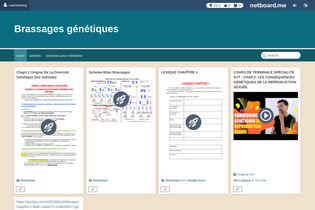 Interactive Learning Pages | netboard.me