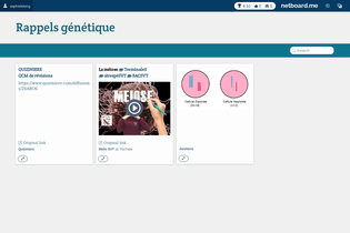 Interactive Learning Pages | netboard.me