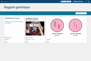 Interactive Learning Pages | netboard.me