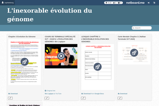 Interactive Learning Pages | netboard.me