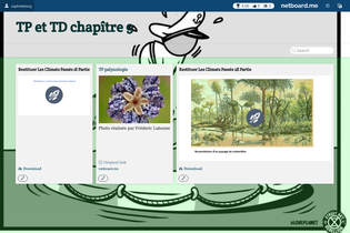 Interactive Learning Pages | netboard.me