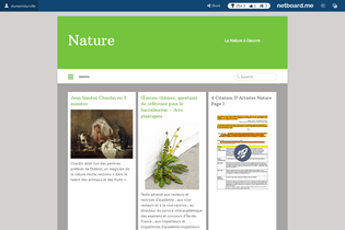 Interactive Learning Pages | netboard.me