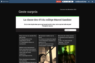Interactive Learning Pages | netboard.me
