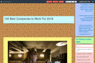 Interactive Learning Pages | netboard.me