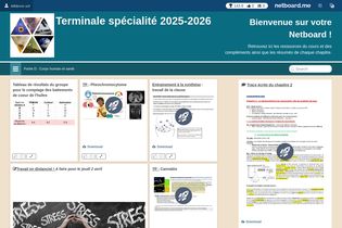 Interactive Learning Pages | netboard.me
