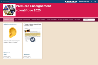 Interactive Learning Pages | netboard.me
