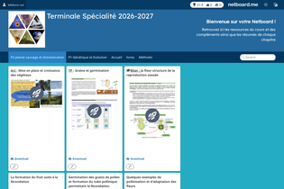 Interactive Learning Pages | netboard.me