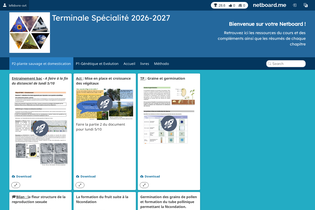 Interactive Learning Pages | netboard.me