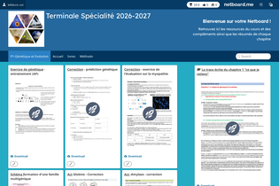 Interactive Learning Pages | netboard.me