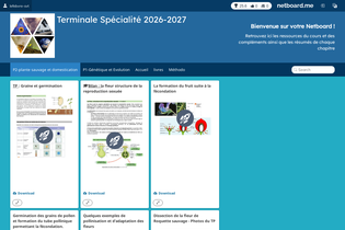 Interactive Learning Pages | netboard.me
