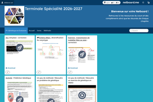 Interactive Learning Pages | netboard.me