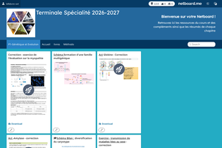 Interactive Learning Pages | netboard.me