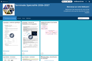 Interactive Learning Pages | netboard.me