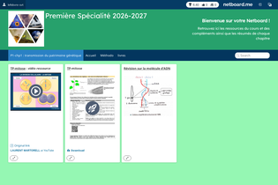 Interactive Learning Pages | netboard.me