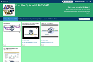 Interactive Learning Pages | netboard.me