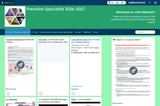 Interactive Learning Pages | netboard.me