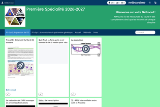 Interactive Learning Pages | netboard.me