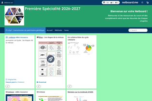 Interactive Learning Pages | netboard.me