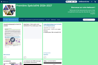 Interactive Learning Pages | netboard.me