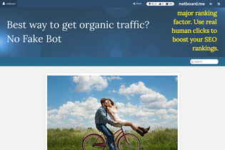 Interactive Learning Pages | netboard.me