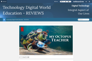 Interactive Learning Pages | netboard.me