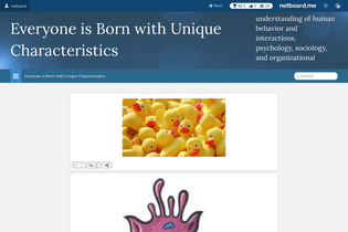 Interactive Learning Pages | netboard.me