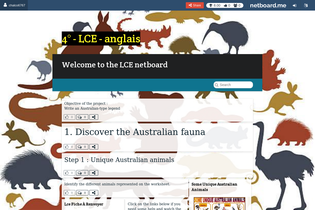 Interactive Learning Pages | netboard.me