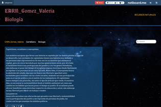 Interactive Learning Pages | netboard.me