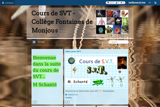 Interactive Learning Pages | netboard.me