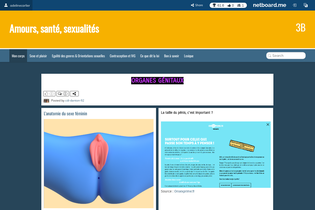 Interactive Learning Pages | netboard.me