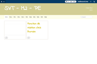 Interactive Learning Pages | netboard.me