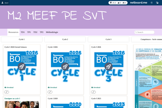 Interactive Learning Pages | netboard.me