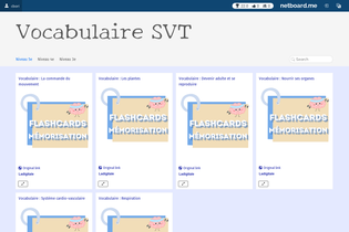 Interactive Learning Pages | netboard.me