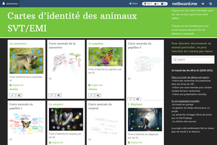 Interactive Learning Pages | netboard.me