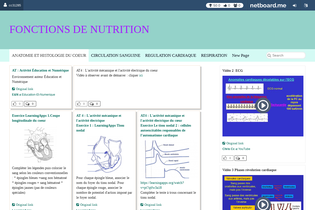 Interactive Learning Pages | netboard.me