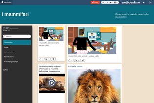 Interactive Learning Pages | netboard.me