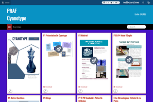 Interactive Learning Pages | netboard.me