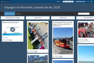 Interactive Learning Pages | netboard.me